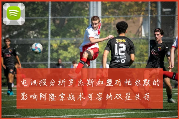 电讯报分析罗杰斯加盟对帕尔默的影响阿隆索战术可容纳双星共存
